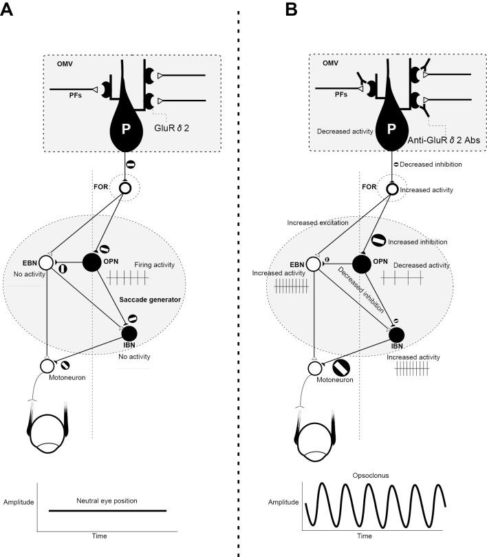 https://cdn.ncbi.nlm.nih.gov/pmc/blobs/a4e5/5675942/2a49d3480121/1349-7235-56-2773-g002.jpg