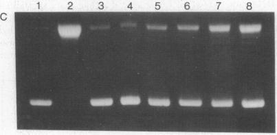 https://cdn.ncbi.nlm.nih.gov/pmc/blobs/a4e7/413066/c05430f01a1b/pnas00010-0262-c.jpg