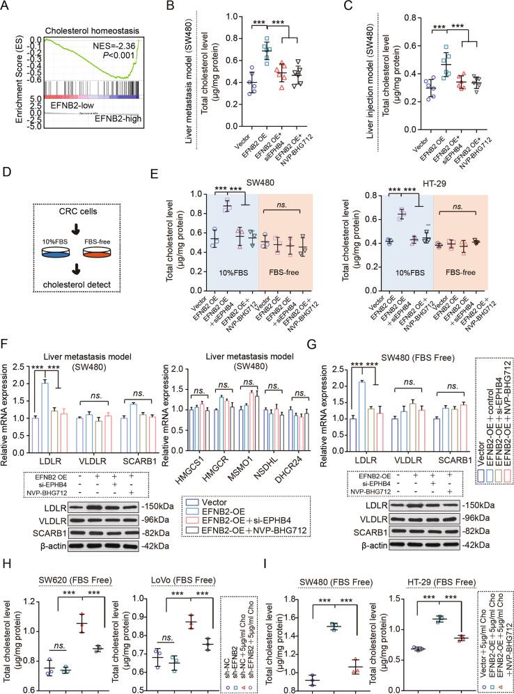 https://cdn.ncbi.nlm.nih.gov/pmc/blobs/a4e7/9816060/0e5f7893baa5/41388_2022_2519_Fig4_HTML.jpg