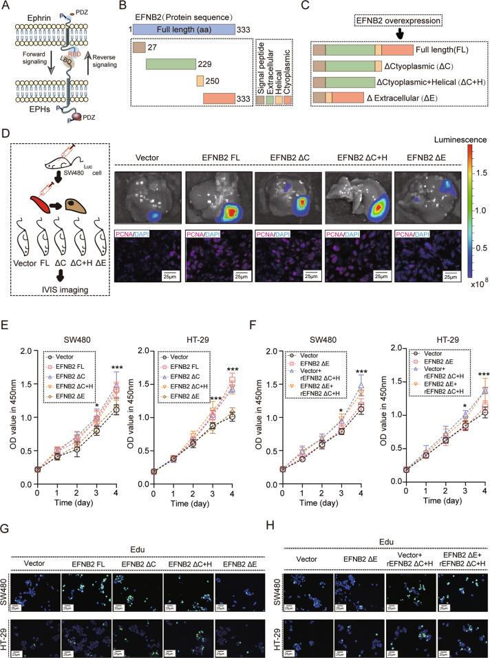 https://cdn.ncbi.nlm.nih.gov/pmc/blobs/a4e7/9816060/39206316d4e2/41388_2022_2519_Fig2_HTML.jpg