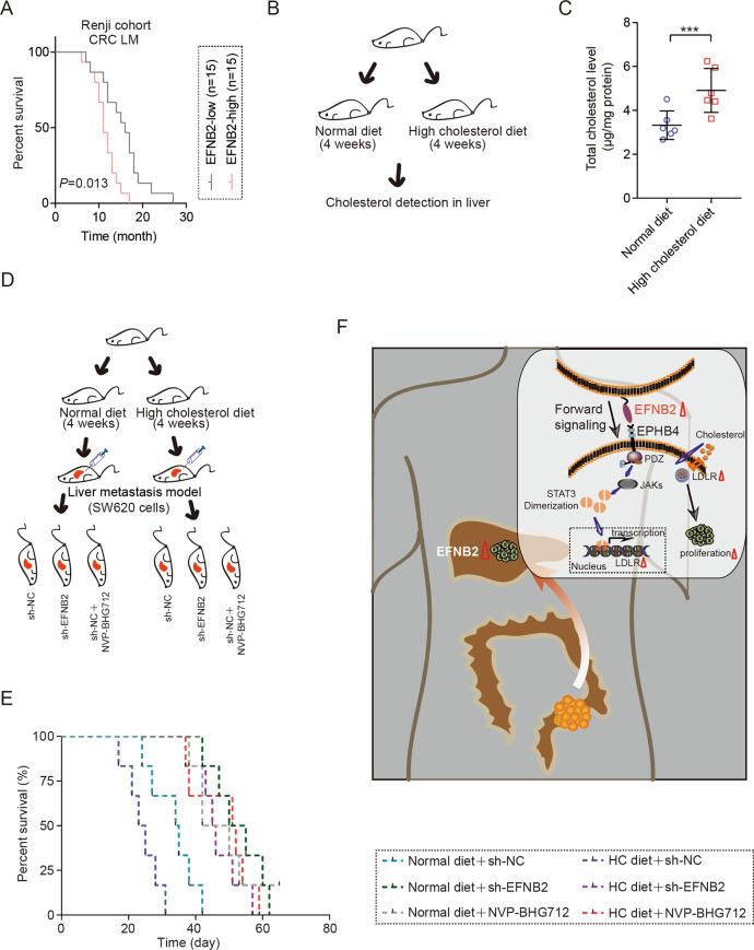 https://cdn.ncbi.nlm.nih.gov/pmc/blobs/a4e7/9816060/7c4bf1ddf37a/41388_2022_2519_Fig7_HTML.jpg