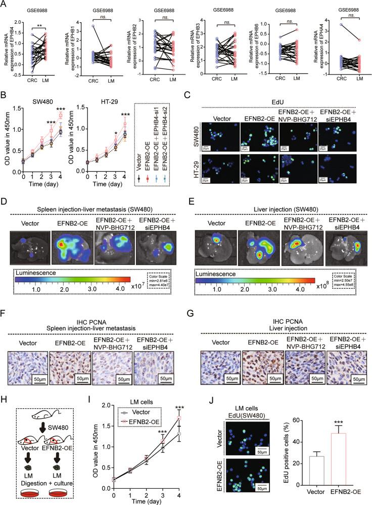 https://cdn.ncbi.nlm.nih.gov/pmc/blobs/a4e7/9816060/a866054b7dcb/41388_2022_2519_Fig3_HTML.jpg
