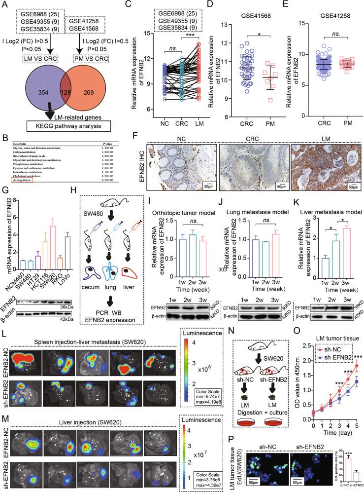 https://cdn.ncbi.nlm.nih.gov/pmc/blobs/a4e7/9816060/c2feed9bb454/41388_2022_2519_Fig1_HTML.jpg