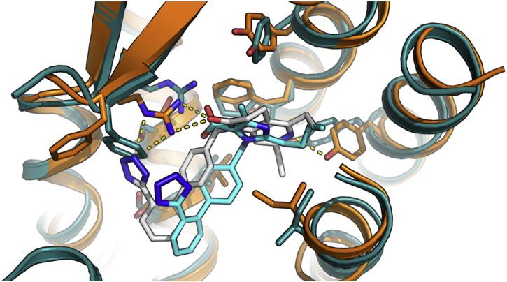 https://cdn.ncbi.nlm.nih.gov/pmc/blobs/a4e8/4887558/ac4bd030d18a/gr2.jpg