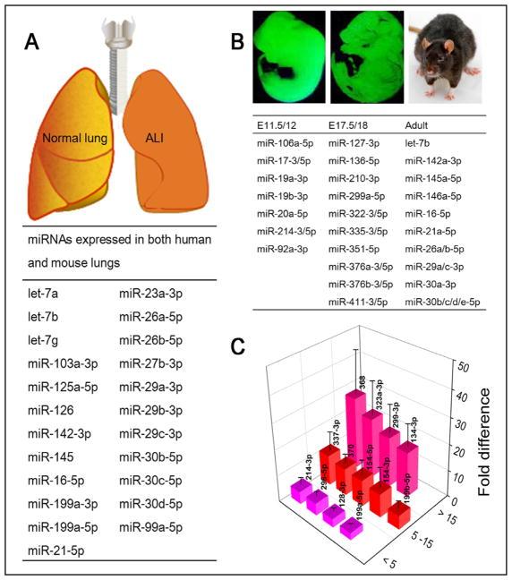 https://cdn.ncbi.nlm.nih.gov/pmc/blobs/a4e8/5884700/7c79c457dd6f/nihms950960f1.jpg