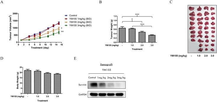 https://cdn.ncbi.nlm.nih.gov/pmc/blobs/a4e9/5459331/14614bbbaa02/pone.0178168.g008.jpg