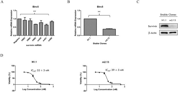 https://cdn.ncbi.nlm.nih.gov/pmc/blobs/a4e9/5459331/756d1ea1e50c/pone.0178168.g003.jpg