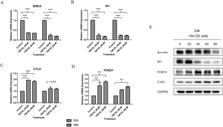 https://cdn.ncbi.nlm.nih.gov/pmc/blobs/a4e9/5459331/81c96b549dbc/pone.0178168.g006.jpg
