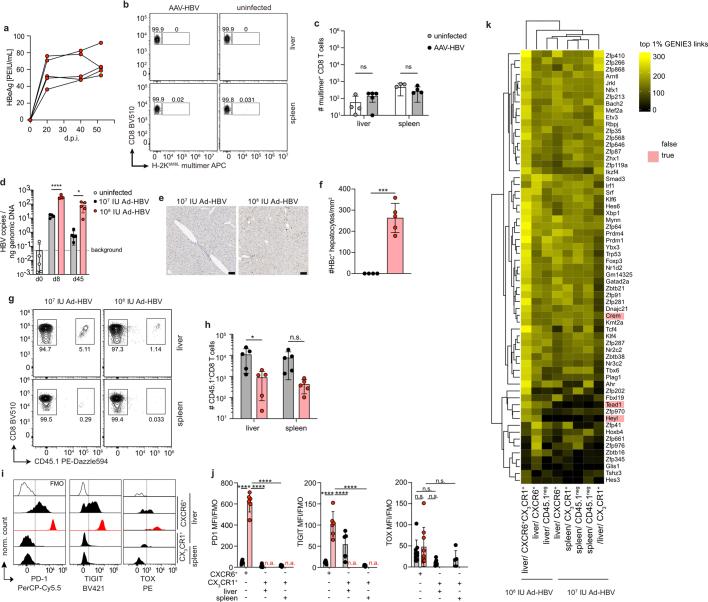 https://cdn.ncbi.nlm.nih.gov/pmc/blobs/a4ea/11269190/46e6b0f1667e/41586_2024_7630_Fig7_ESM.jpg