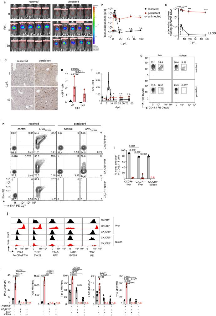 https://cdn.ncbi.nlm.nih.gov/pmc/blobs/a4ea/11269190/8d6754ecc2a4/41586_2024_7630_Fig5_ESM.jpg