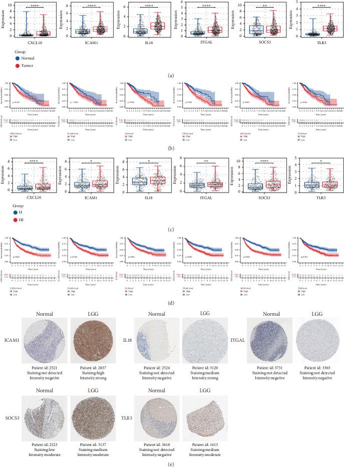 https://cdn.ncbi.nlm.nih.gov/pmc/blobs/a4ea/12364596/27b748311cb0/BMRI2025-6180391.008.jpg