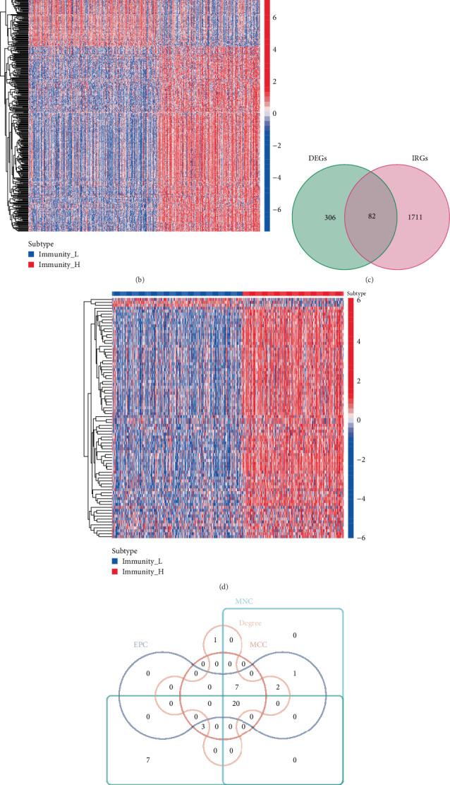 https://cdn.ncbi.nlm.nih.gov/pmc/blobs/a4ea/12364596/8e3b47ca2dfa/BMRI2025-6180391.003.jpg