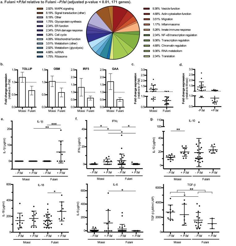 https://cdn.ncbi.nlm.nih.gov/pmc/blobs/a4ea/5629023/b79f90c20c94/elife-29156-fig3.jpg