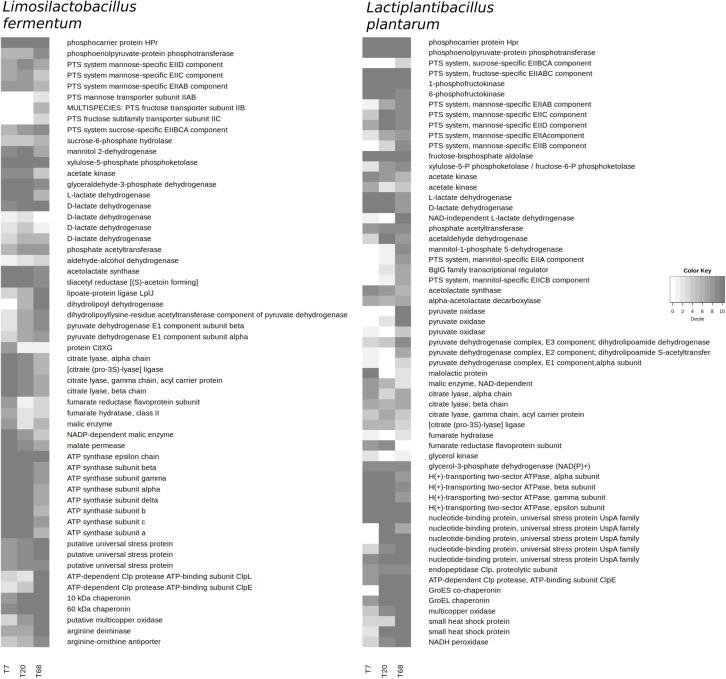 https://cdn.ncbi.nlm.nih.gov/pmc/blobs/a4ec/7920976/296430196e4b/fmicb-12-641185-g004.jpg