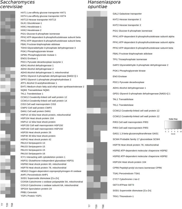 https://cdn.ncbi.nlm.nih.gov/pmc/blobs/a4ec/7920976/bf067b6a3253/fmicb-12-641185-g005.jpg