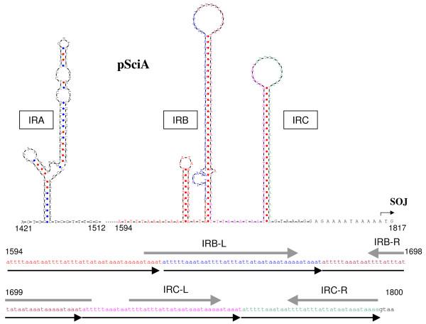 https://cdn.ncbi.nlm.nih.gov/pmc/blobs/a4ed/2386487/3f6eed96445f/1471-2164-9-195-5.jpg