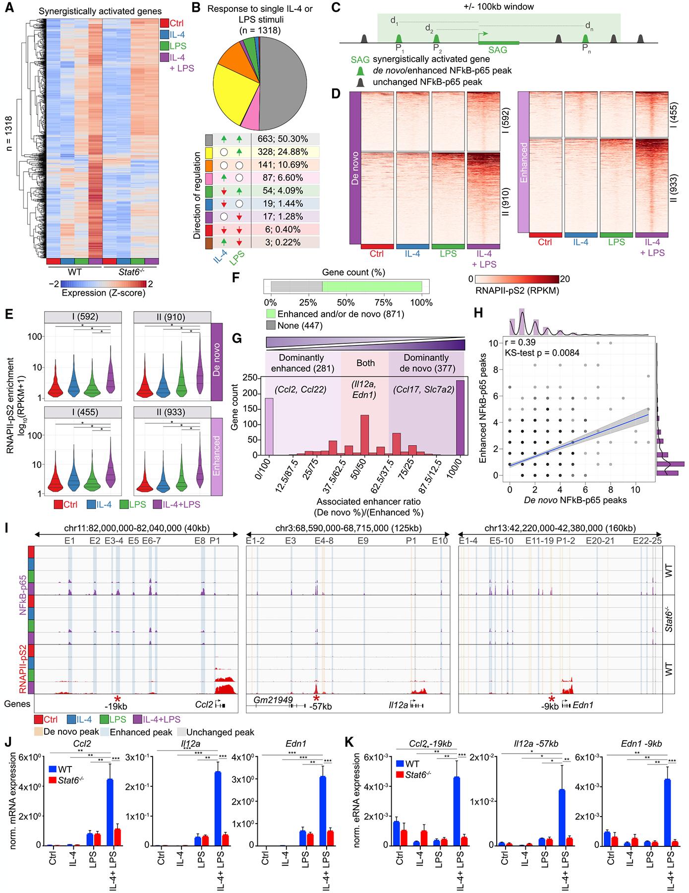 https://cdn.ncbi.nlm.nih.gov/pmc/blobs/a4ed/9649892/2615d18b3ca9/nihms-1843137-f0004.jpg