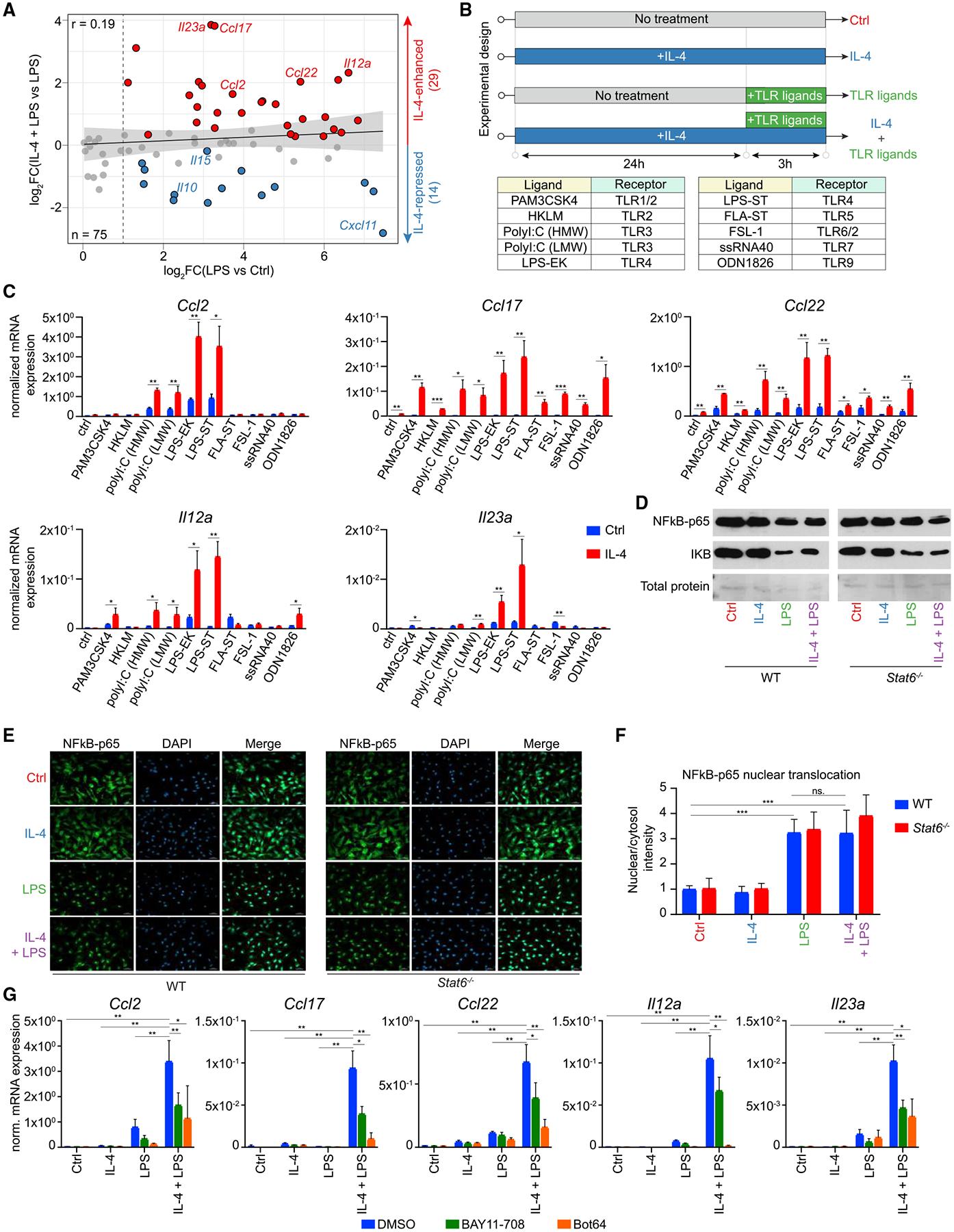 https://cdn.ncbi.nlm.nih.gov/pmc/blobs/a4ed/9649892/afbaa6d81d1a/nihms-1843137-f0002.jpg