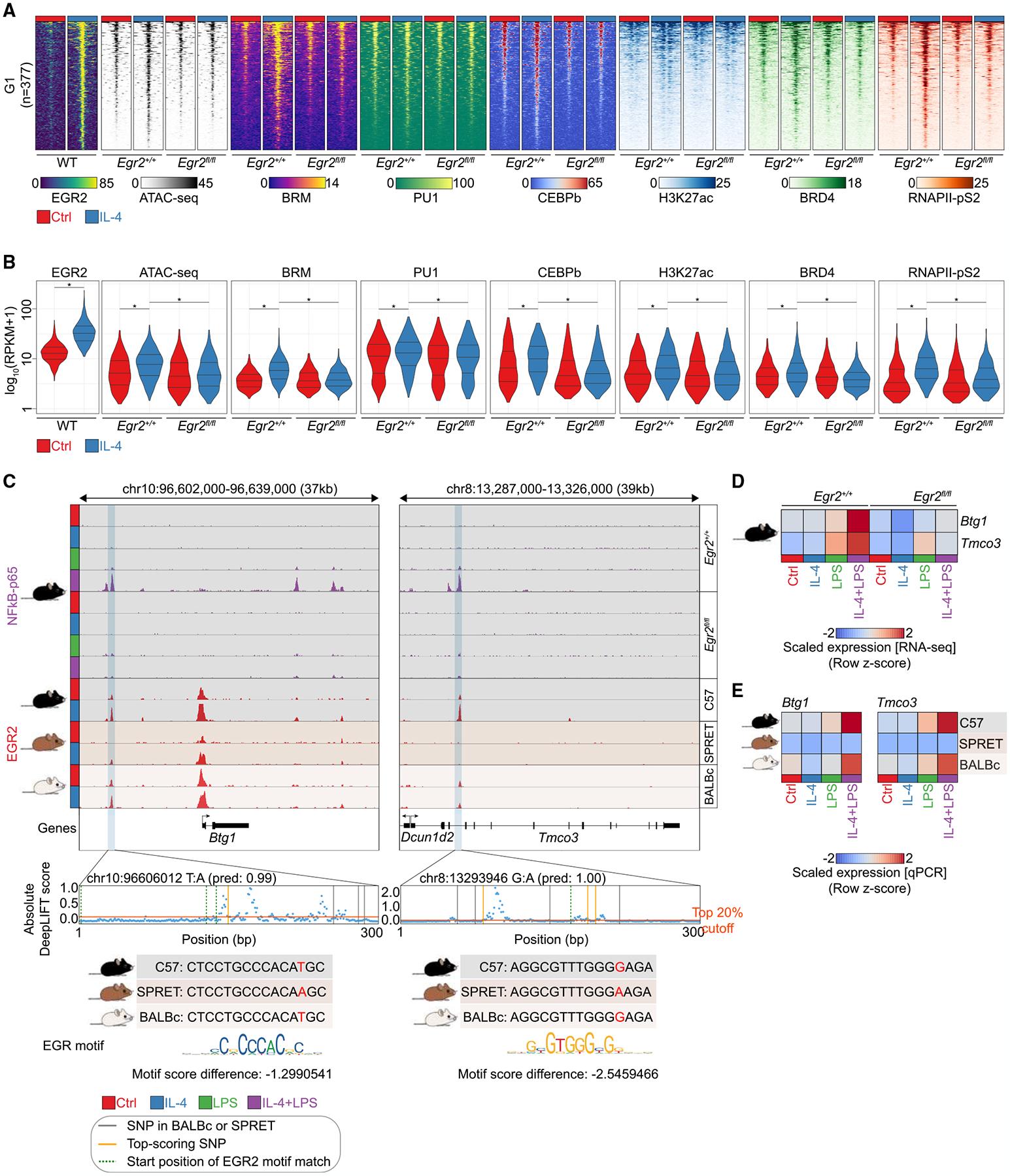 https://cdn.ncbi.nlm.nih.gov/pmc/blobs/a4ed/9649892/c6c16b45a6be/nihms-1843137-f0007.jpg