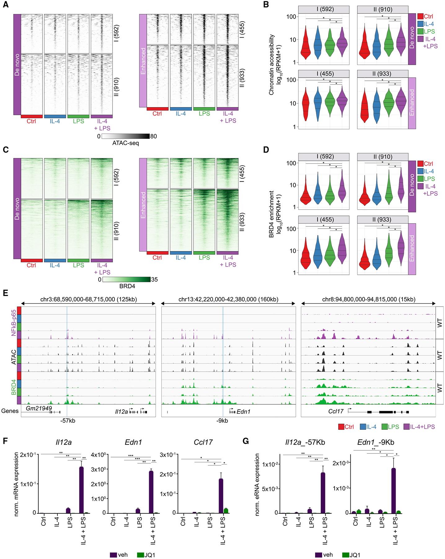 https://cdn.ncbi.nlm.nih.gov/pmc/blobs/a4ed/9649892/c92f8745c052/nihms-1843137-f0005.jpg
