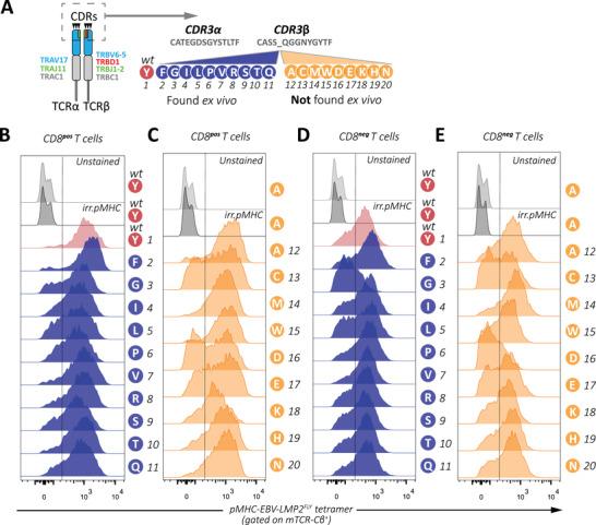 https://cdn.ncbi.nlm.nih.gov/pmc/blobs/a4ed/9828479/f0f0cbf72492/EJI-52-1819-g001.jpg