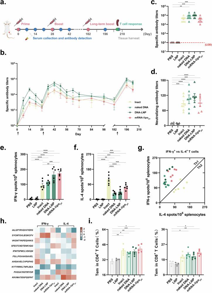 https://cdn.ncbi.nlm.nih.gov/pmc/blobs/a4ef/11500389/62fd0c59b6ec/41541_2024_991_Fig6_HTML.jpg