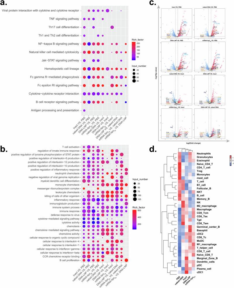 https://cdn.ncbi.nlm.nih.gov/pmc/blobs/a4ef/11500389/65078fae7419/41541_2024_991_Fig5_HTML.jpg