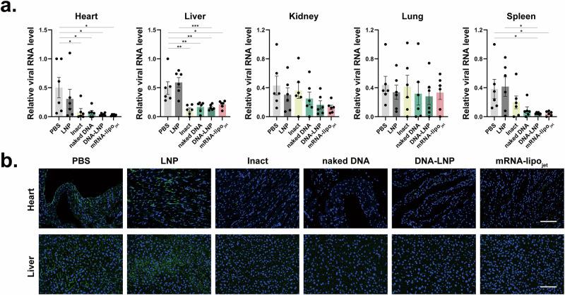 https://cdn.ncbi.nlm.nih.gov/pmc/blobs/a4ef/11500389/bc22f4d3cedf/41541_2024_991_Fig4_HTML.jpg