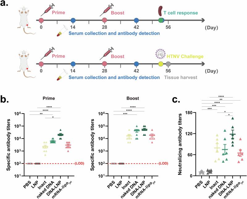 https://cdn.ncbi.nlm.nih.gov/pmc/blobs/a4ef/11500389/da3682dd3ef1/41541_2024_991_Fig2_HTML.jpg
