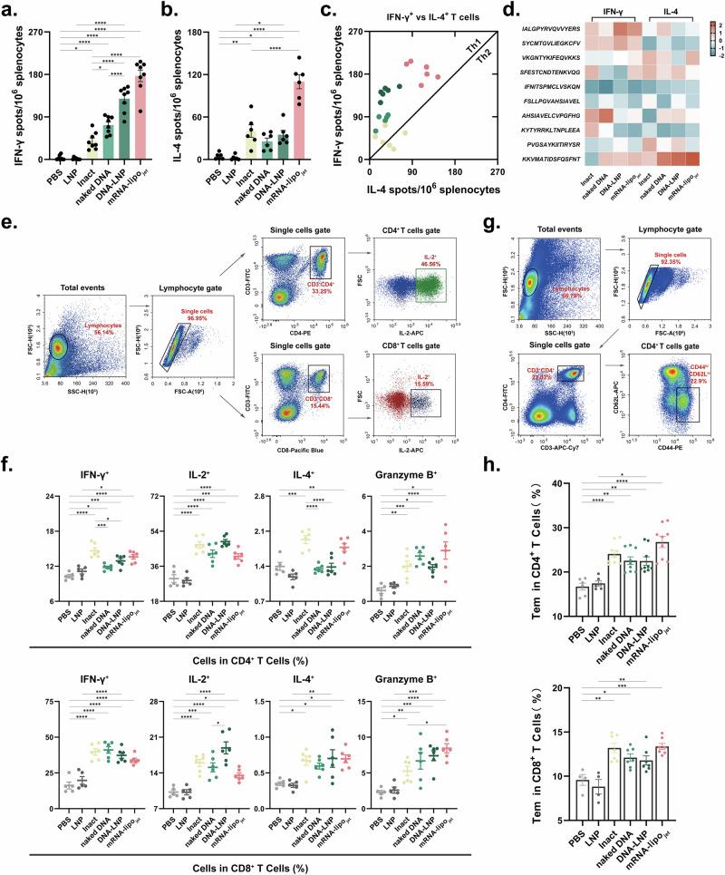 https://cdn.ncbi.nlm.nih.gov/pmc/blobs/a4ef/11500389/ecdf4f655045/41541_2024_991_Fig3_HTML.jpg