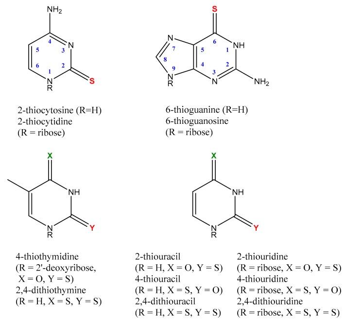 https://cdn.ncbi.nlm.nih.gov/pmc/blobs/a4f0/7037914/a4047ccfaff8/molecules-25-00584-sch001.jpg
