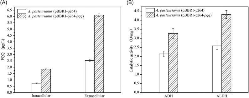 https://cdn.ncbi.nlm.nih.gov/pmc/blobs/a4f1/11503474/1ea502c4a21f/kuae036fig1.jpg