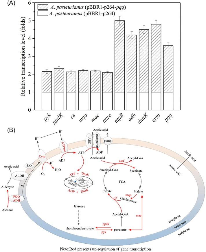 https://cdn.ncbi.nlm.nih.gov/pmc/blobs/a4f1/11503474/79f2e4c3130a/kuae036fig4.jpg