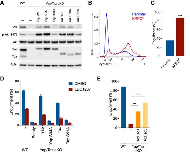 https://cdn.ncbi.nlm.nih.gov/pmc/blobs/a4f1/7528706/0a2f7263ad8b/1345f06.jpg