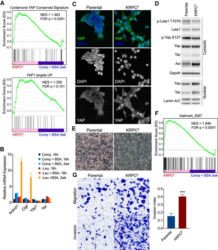 https://cdn.ncbi.nlm.nih.gov/pmc/blobs/a4f1/7528706/6244f75db6ca/1345f02.jpg