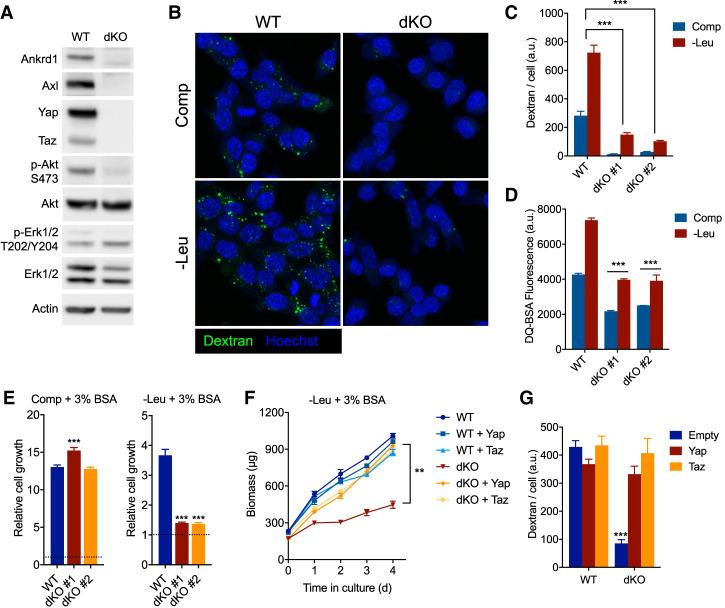 https://cdn.ncbi.nlm.nih.gov/pmc/blobs/a4f1/7528706/de45d30d9314/1345f03.jpg