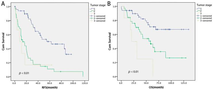 https://cdn.ncbi.nlm.nih.gov/pmc/blobs/a4f2/9264870/a2f5299cc007/cancers-14-03155-g001.jpg