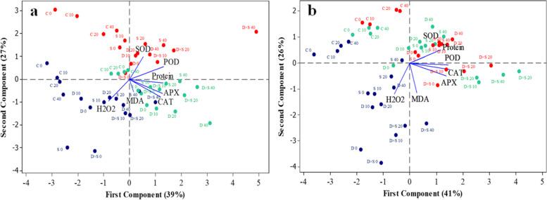 https://cdn.ncbi.nlm.nih.gov/pmc/blobs/a4f4/11293251/275ff8dfa103/12870_2024_4740_Fig2_HTML.jpg