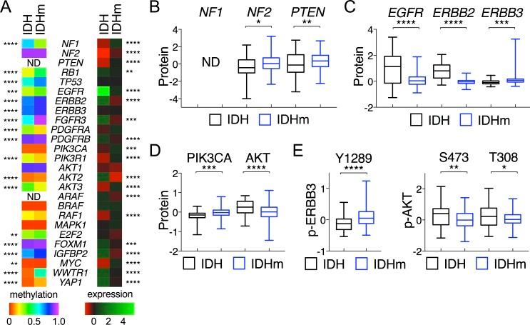 https://cdn.ncbi.nlm.nih.gov/pmc/blobs/a4f5/5352106/48ae092fe112/oncotarget-08-191-g002.jpg