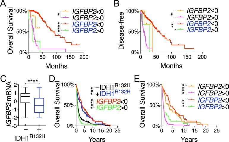 https://cdn.ncbi.nlm.nih.gov/pmc/blobs/a4f5/5352106/6d2efbb8a850/oncotarget-08-191-g005.jpg