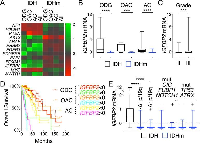 https://cdn.ncbi.nlm.nih.gov/pmc/blobs/a4f5/5352106/6e07b7df0a63/oncotarget-08-191-g006.jpg