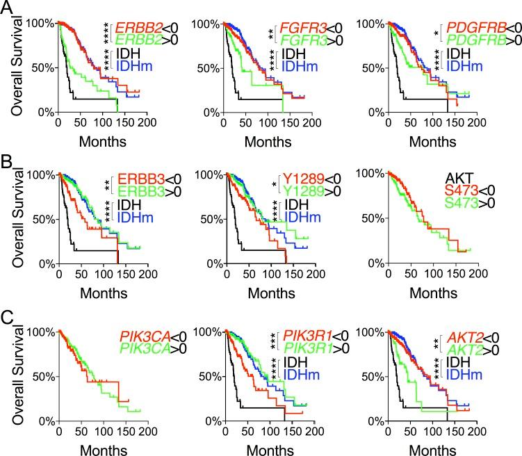 https://cdn.ncbi.nlm.nih.gov/pmc/blobs/a4f5/5352106/c3f53dbb28a0/oncotarget-08-191-g003.jpg