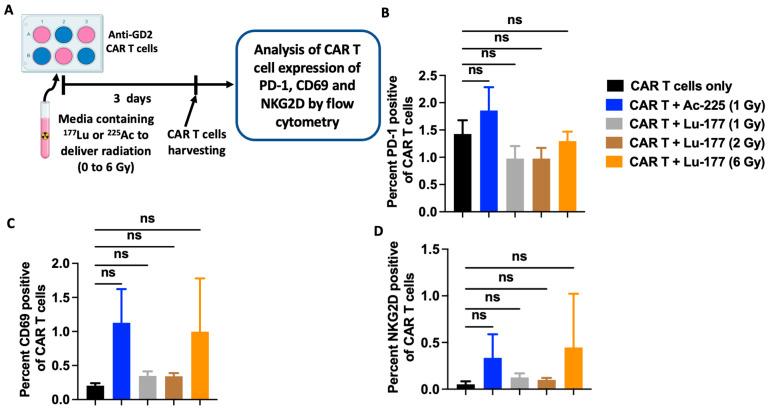 https://cdn.ncbi.nlm.nih.gov/pmc/blobs/a4f7/10778389/0e4cb27a93af/cancers-16-00191-g004.jpg