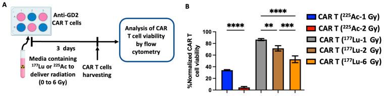 https://cdn.ncbi.nlm.nih.gov/pmc/blobs/a4f7/10778389/56997e3784f0/cancers-16-00191-g002.jpg