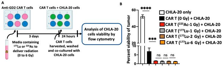 https://cdn.ncbi.nlm.nih.gov/pmc/blobs/a4f7/10778389/5c1f72910d17/cancers-16-00191-g003.jpg