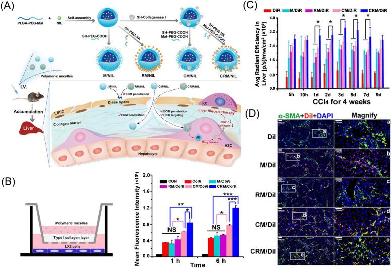 https://cdn.ncbi.nlm.nih.gov/pmc/blobs/a4f7/9675156/fe2204a7081a/12951_2022_1708_Fig7_HTML.jpg