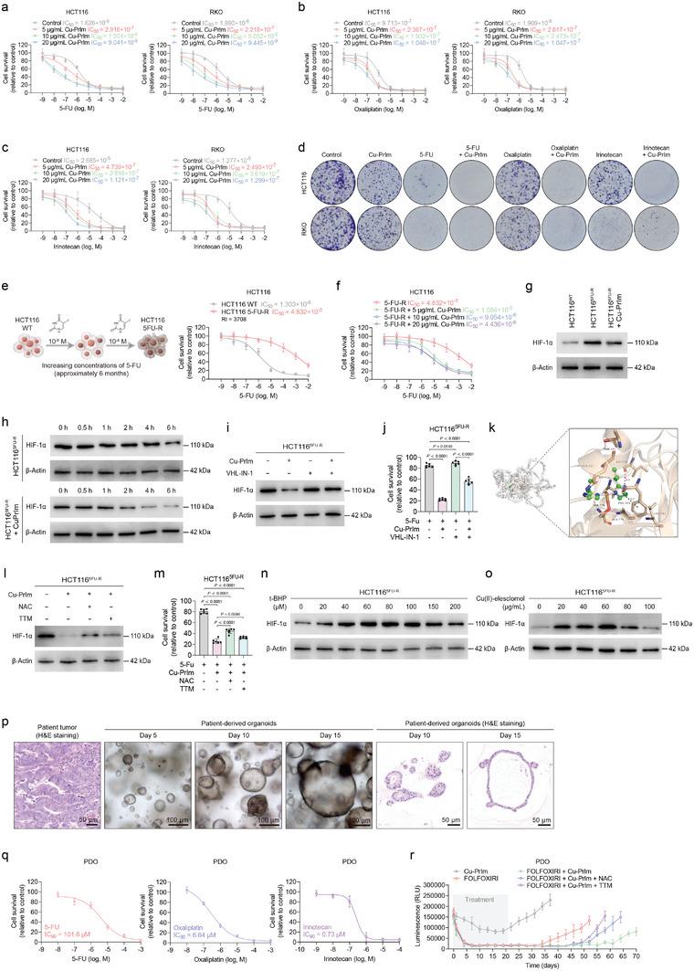 https://cdn.ncbi.nlm.nih.gov/pmc/blobs/a4f9/11809406/47aaedc39b4f/ADVS-12-2413422-g008.jpg