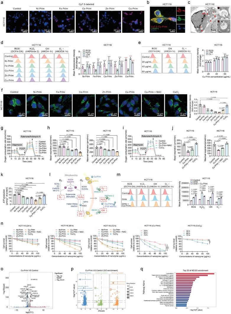 https://cdn.ncbi.nlm.nih.gov/pmc/blobs/a4f9/11809406/60ee8d8dd976/ADVS-12-2413422-g004.jpg