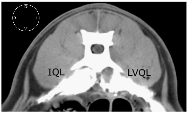 https://cdn.ncbi.nlm.nih.gov/pmc/blobs/a4fa/10339959/9841a79e2c70/animals-13-02214-g004.jpg