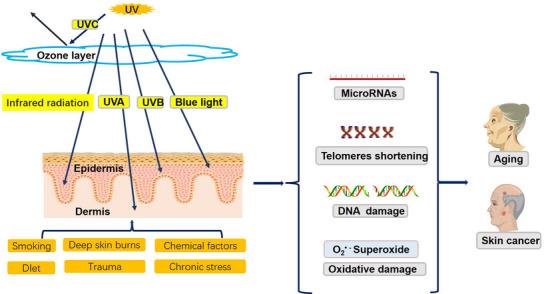https://cdn.ncbi.nlm.nih.gov/pmc/blobs/a4fa/10495620/d47eb06ebe86/SRT-29-e13463-g004.jpg
